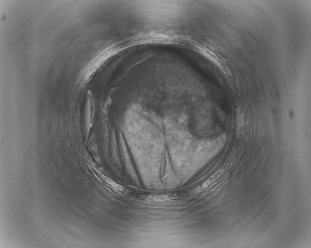 X0000058121455200510171258