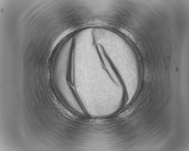 X0000058121458200510171258