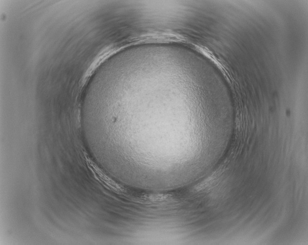 X0000058121459200510171258