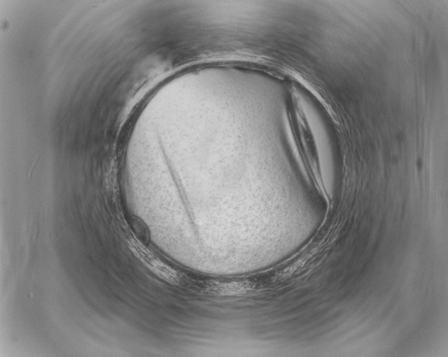 X0000058121460200510171258