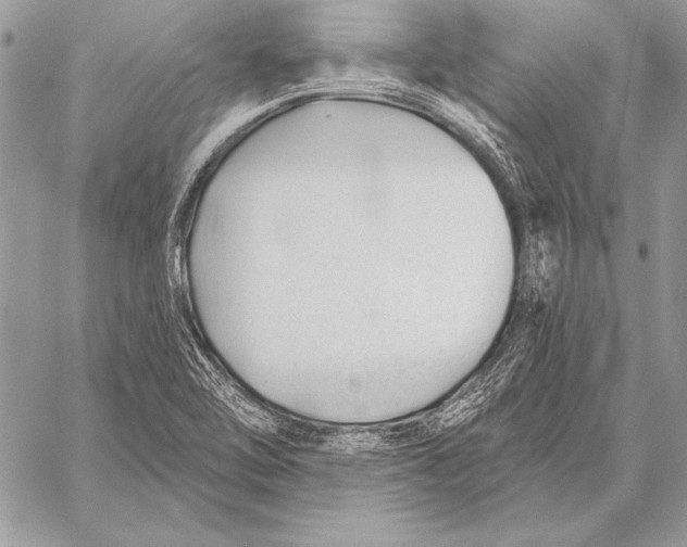 X0000058121462200510171258