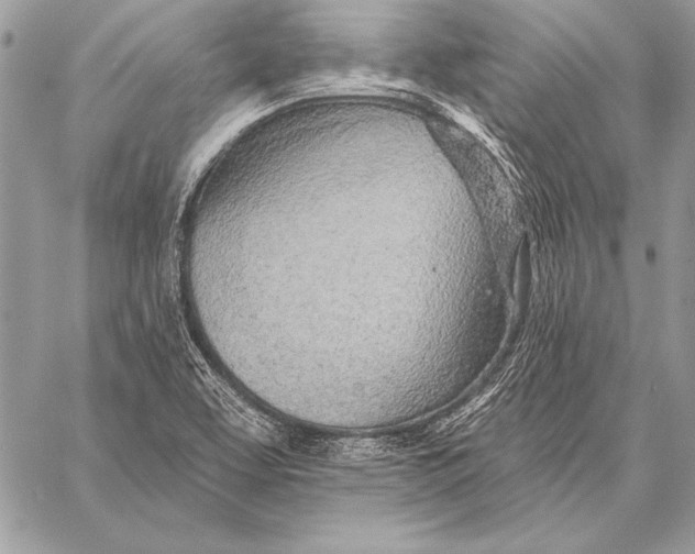 X0000058121463200510171258