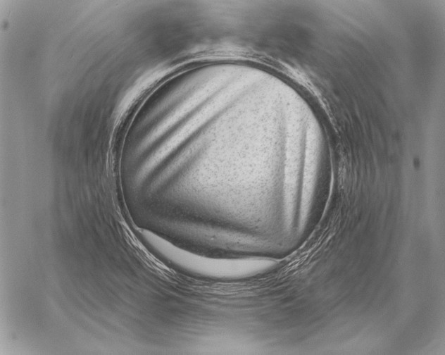 X0000058121464200510171258