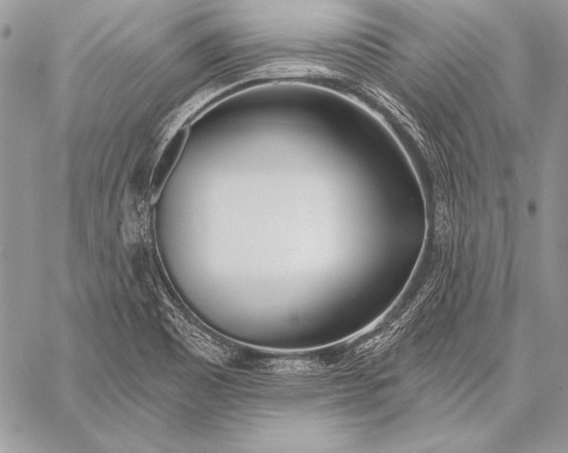 X0000058121465200510171257