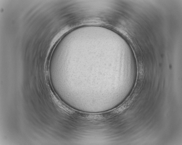 X0000058121466200510171257