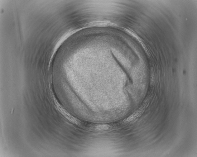 X0000058121467200510171257