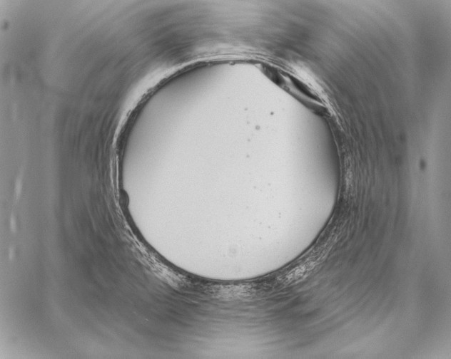 X0000058121472200510171257