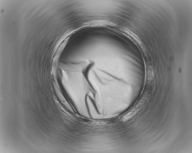 X0000058121473200510171257