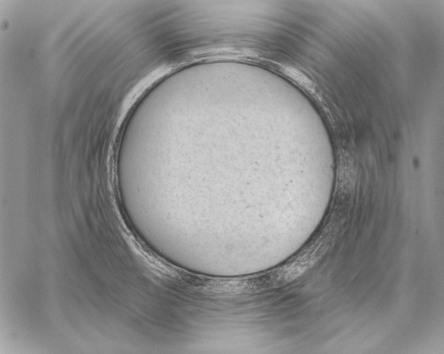 X0000058121474200510171257