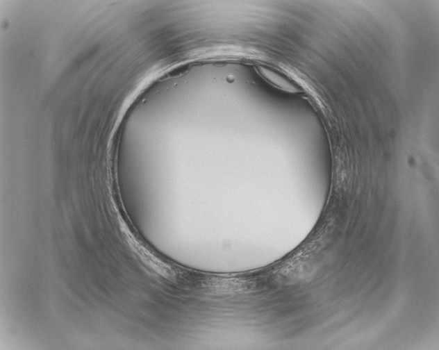 X0000058121475200510171257