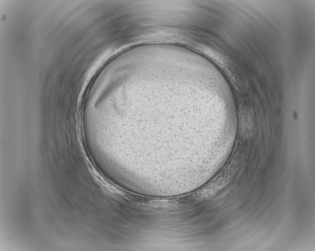 X0000058121478200510171257