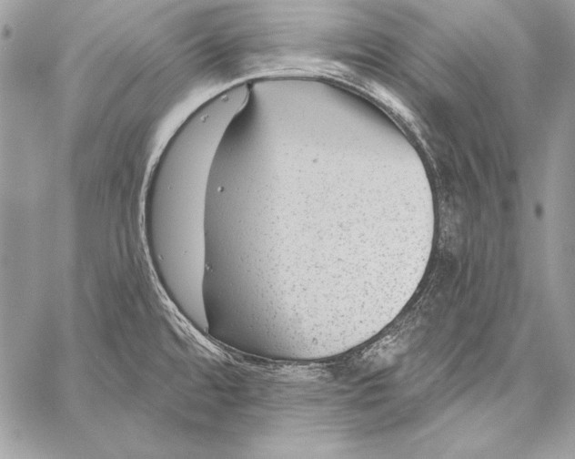 X0000058121480200510171257