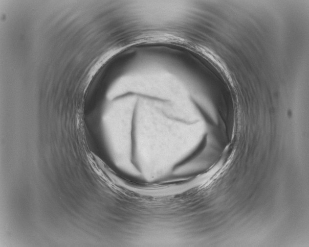 X0000058121481200510171257