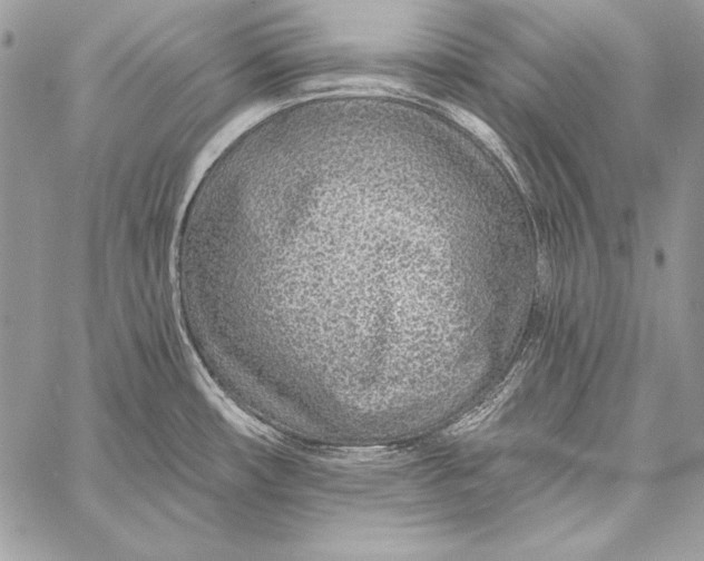 X0000058121482200510171257