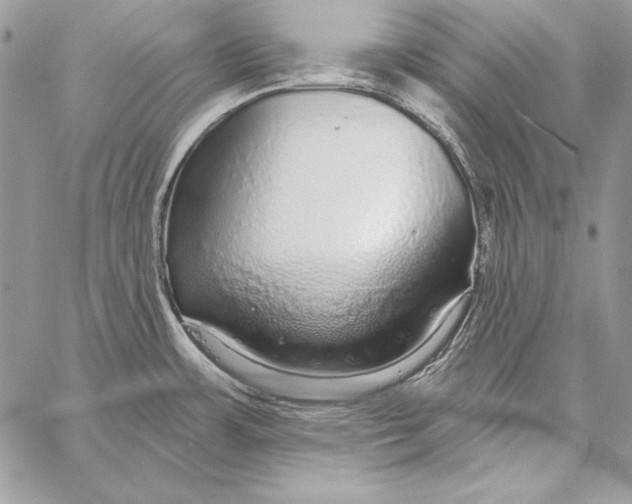 X0000058121483200510171257