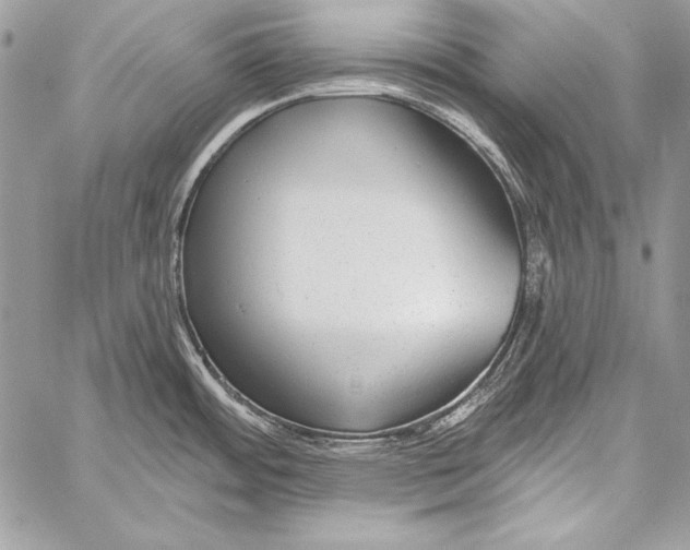 X0000058121484200510171257