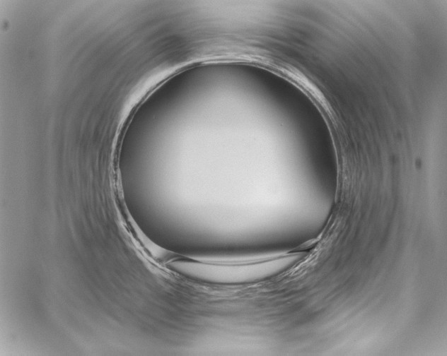 X0000058121485200510171257