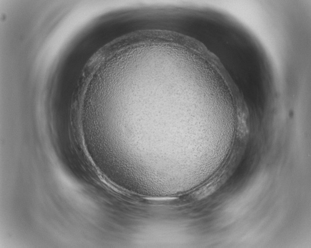 X0000058121487200510171257