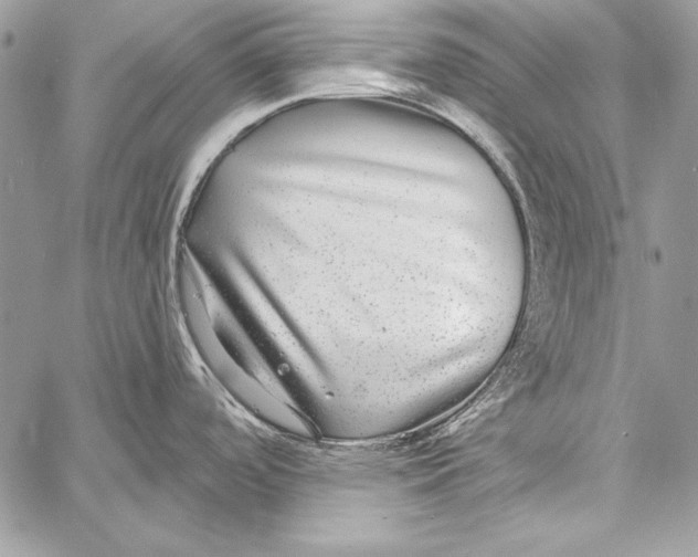 X0000058121488200510171257