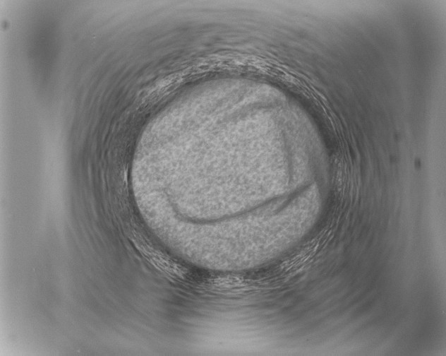 X0000058121489200510171256