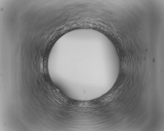 X0000058121490200510171256