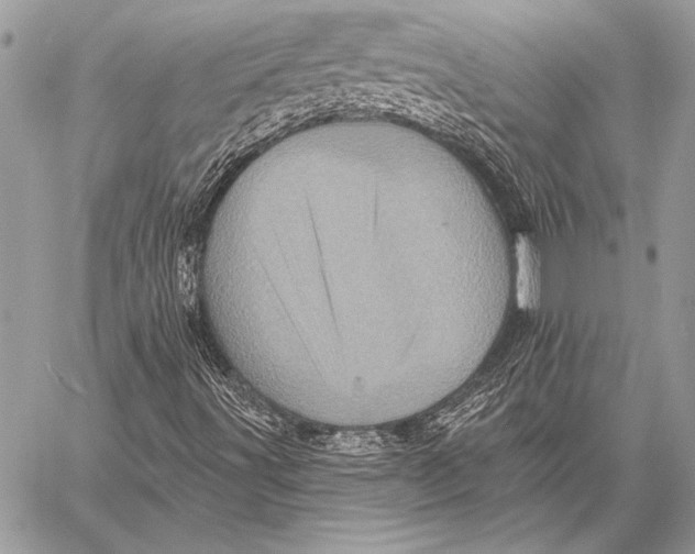 X0000058121491200510171256