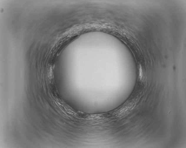 X0000058121492200510171256