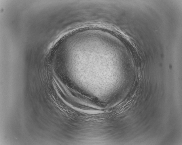 X0000058121496200510171256