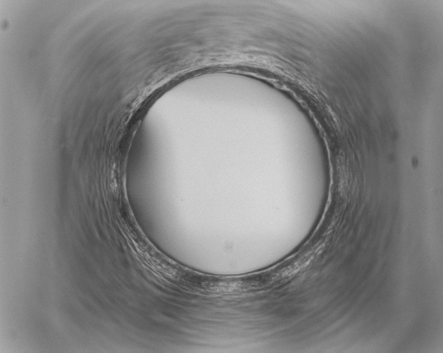 X0000058121497200510171256