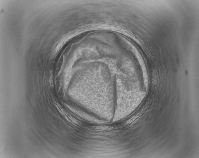 X0000058121499200510171256