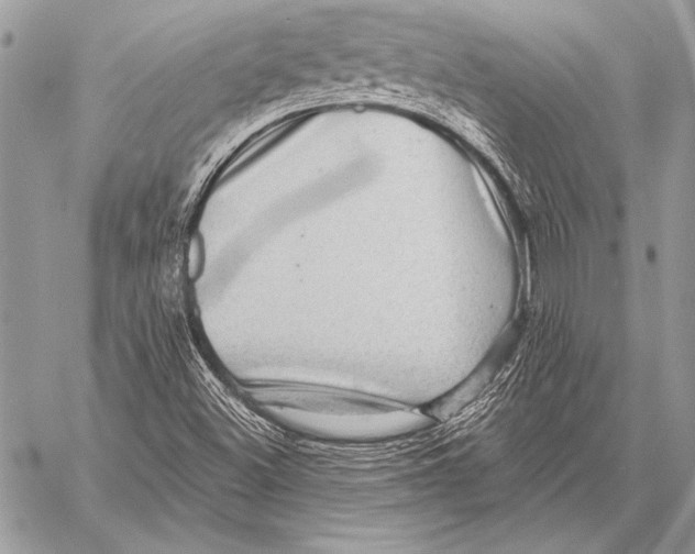 X0000058121500200510171256