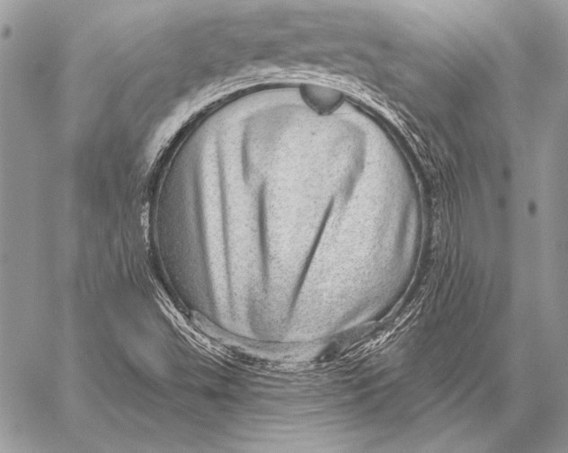 X0000058121503200510171257