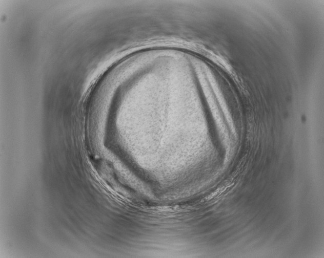 X0000058121504200510171257