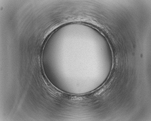 X0000058121505200510171257