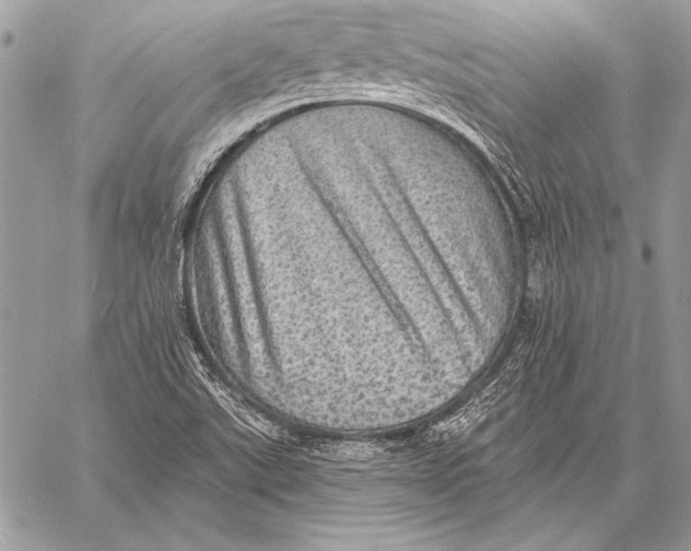 X0000058121507200510171257