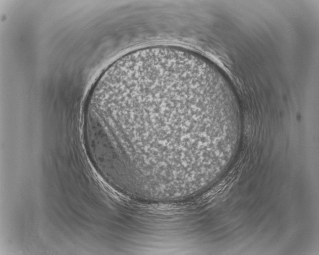 X0000058121508200510171257