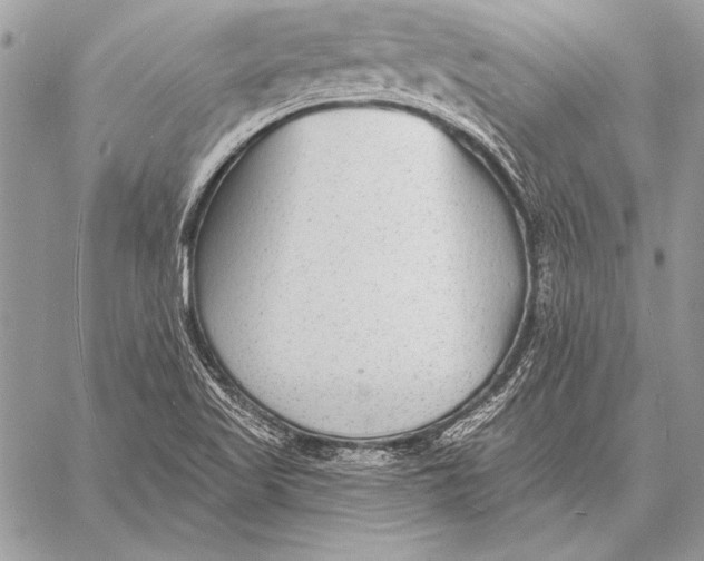 X0000058121509200510171257