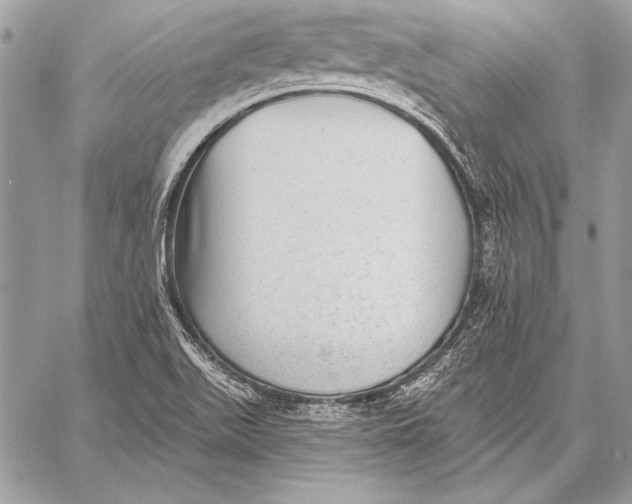 X0000058121511200510171257