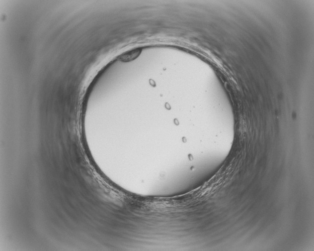 X0000058121512200510171257