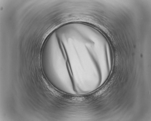 X0000058121513200510171257