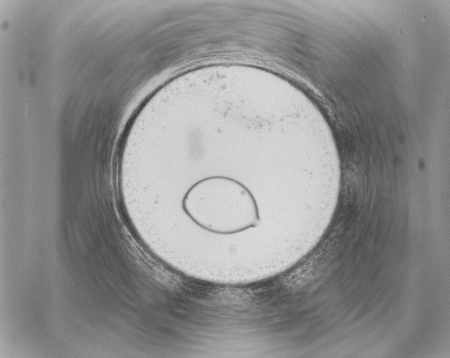 X0000058121514200510171257