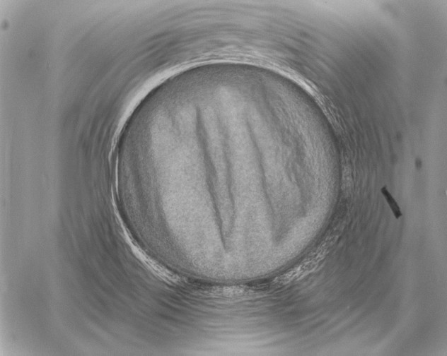 X0000058121515200510171257