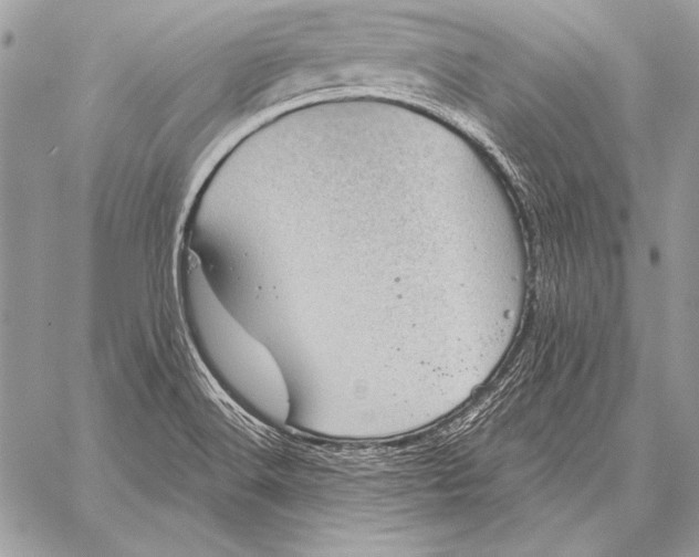 X0000058121516200510171257