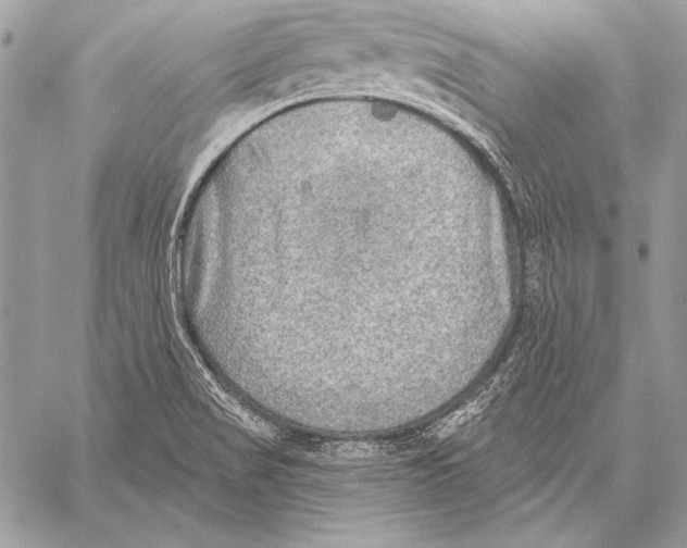 X0000058121517200510171257