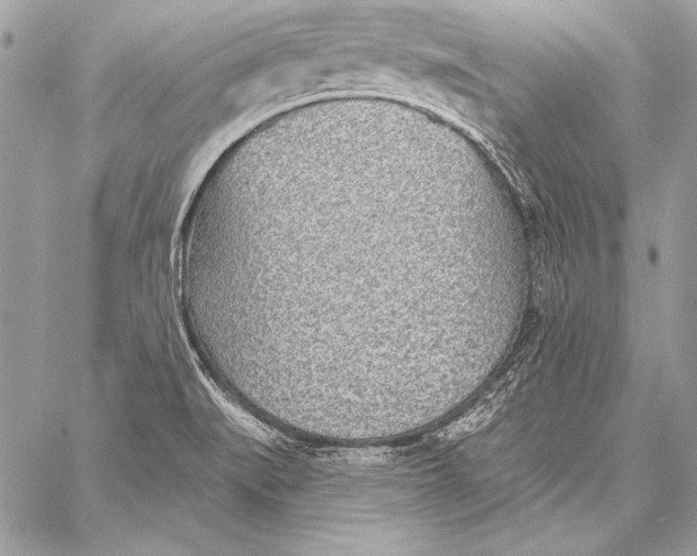 X0000058121519200510171257