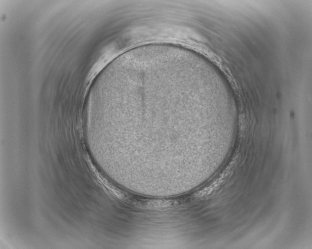 X0000058121521200510171257