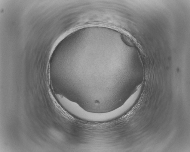 X0000058121522200510171257