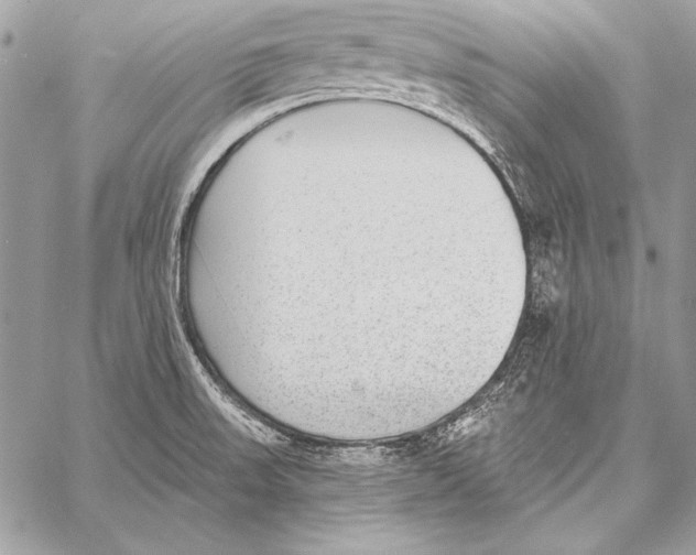 X0000058121523200510171257