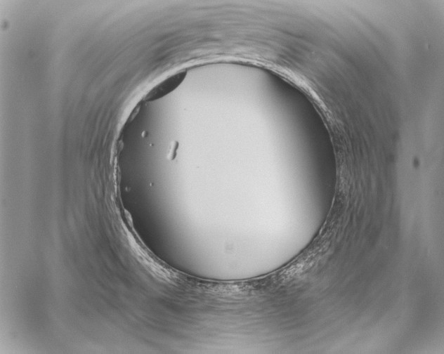 X0000058121524200510171257