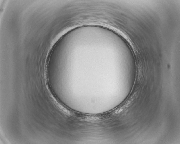 X0000058121525200510171257